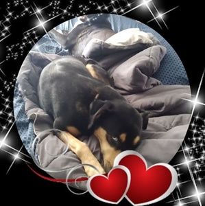 Meet your Posher, Christina